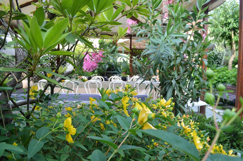 Albergo Giardino Cernobbio Exteriér fotografie